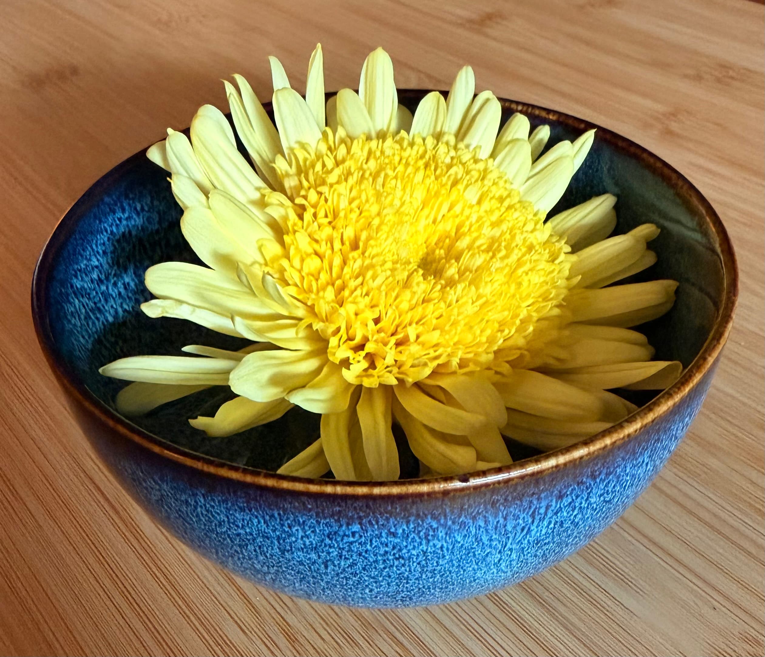 A flower resting in a teacup